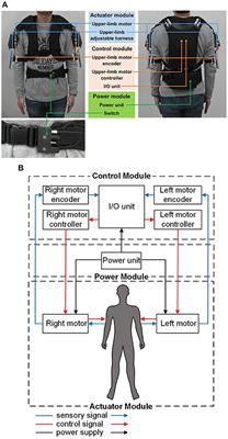 Gait-Assist Wearable Robot Using Interactive Rhythmic Stimulation to the Upper Limbs